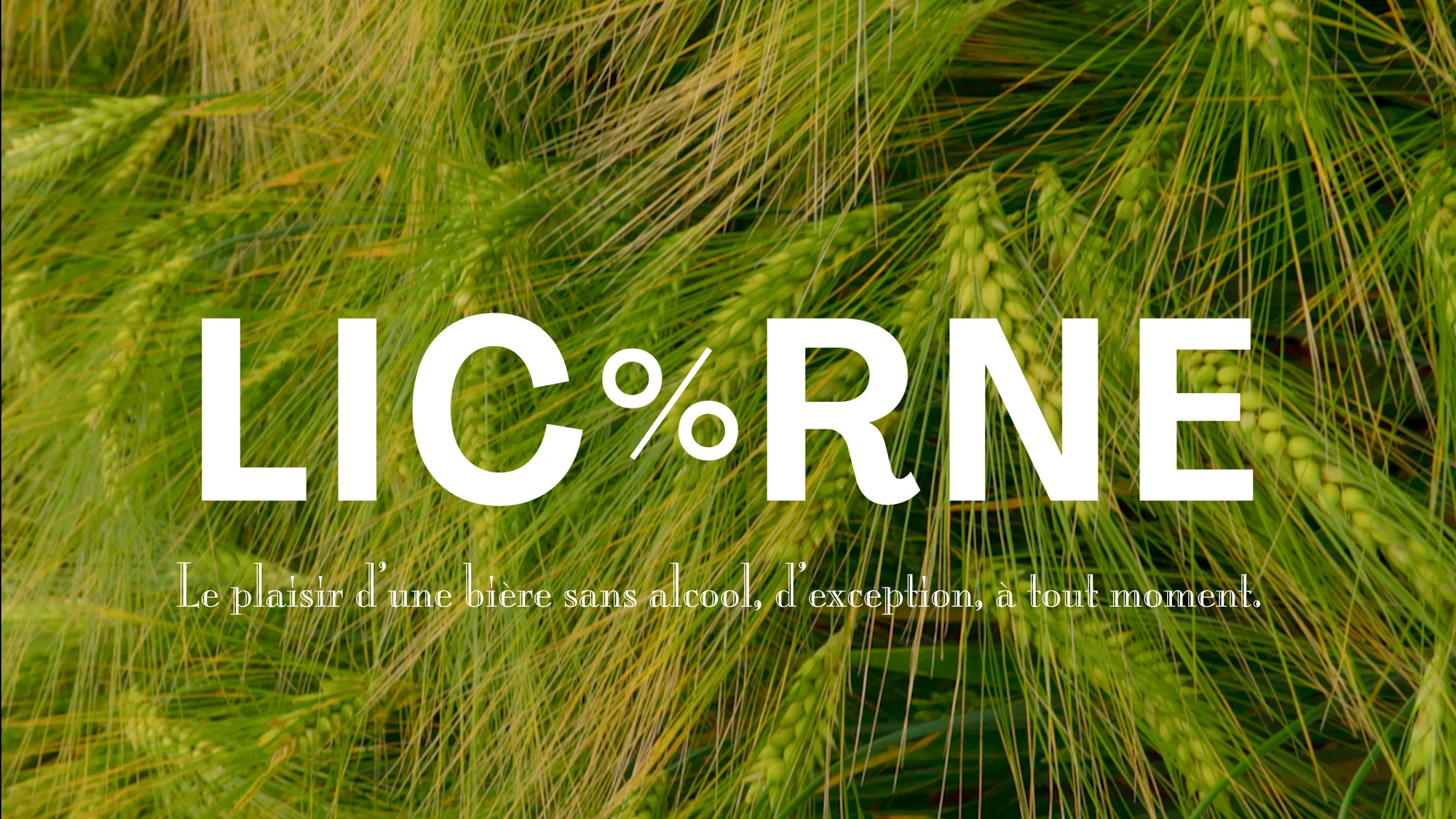 frame of the promotional video of Licorne